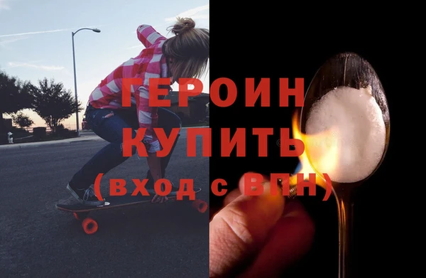 гидра Горняк