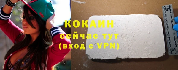 гидра Горняк