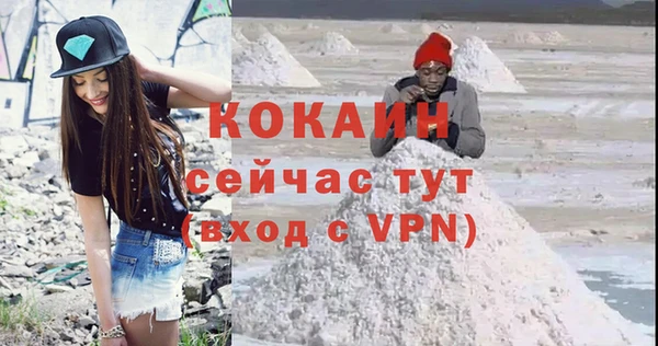 гидра Горняк