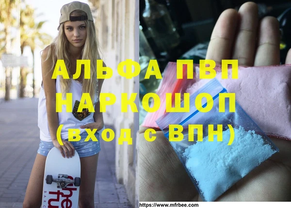 гидра Горняк