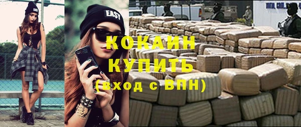 гидра Горняк