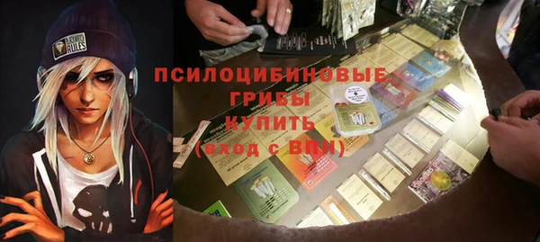 гидра Горняк