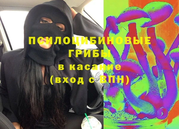 гидра Горняк
