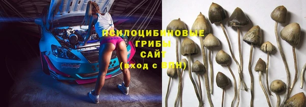 2c-b Горнозаводск