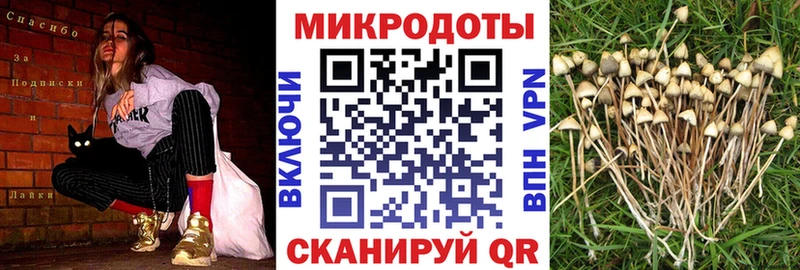 Галлюциногенные грибы ЛСД  купить наркотики цена  Ростов-на-Дону 